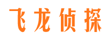 开江市侦探公司